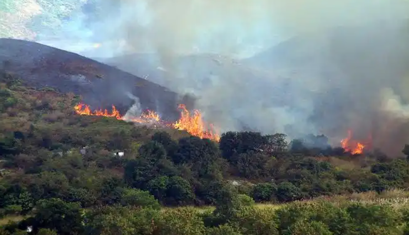 會“說話”的智能森林防山火語音宣傳桿